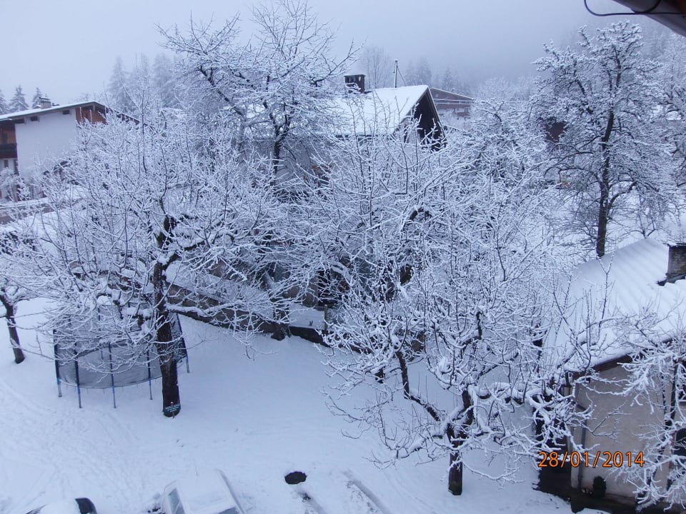 Ende Jänner kam doch noch der Winter Platzlhof - Mein Hotel im Zillertal