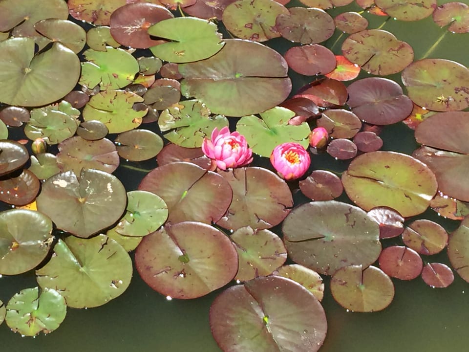 Gartenanlage Da Elda Natural Retreat