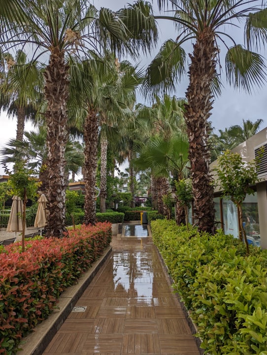 Gartenanlage Hane Family Resort