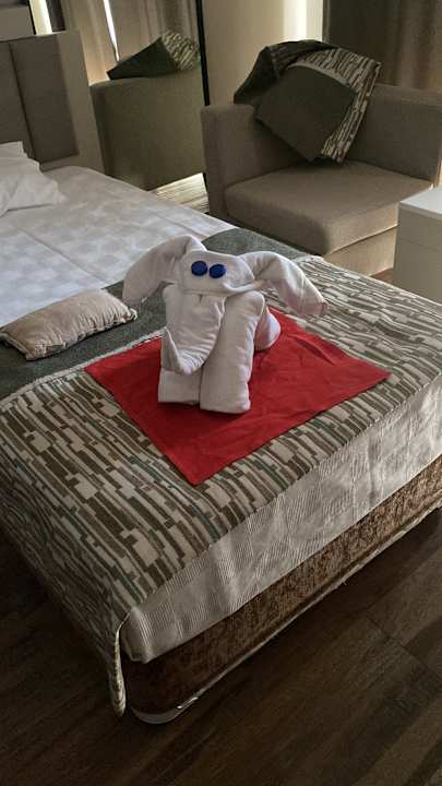 Zimmer Seaden Sea World Resort & Spa