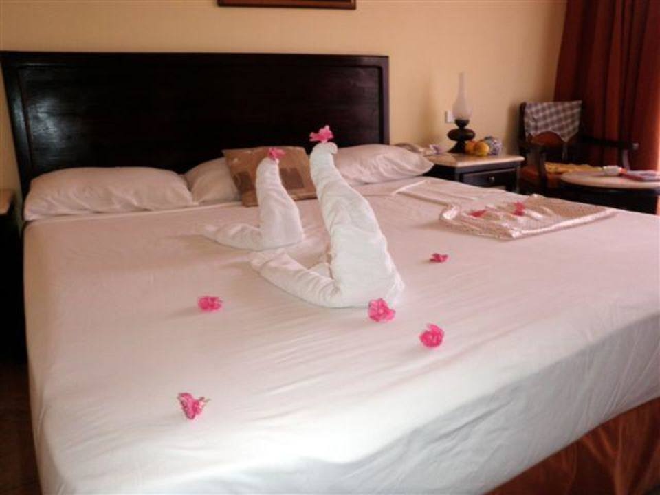 Pokój  Parrotel Aqua Park Resort