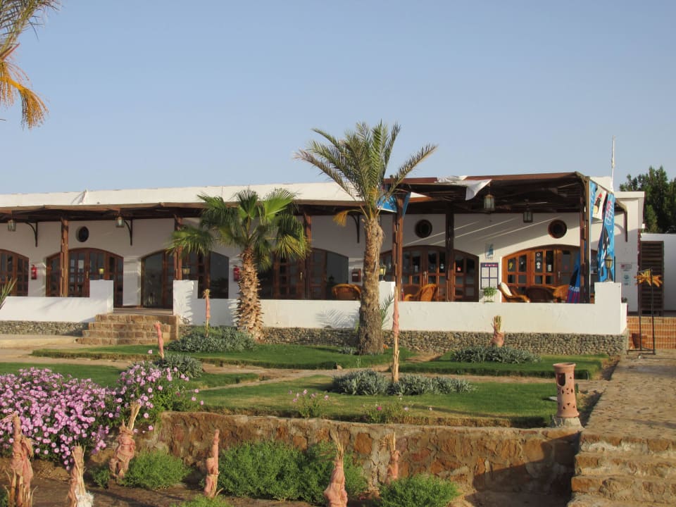 Tauchbasis Extra Diver´s Three Corners Equinox Beach Resort