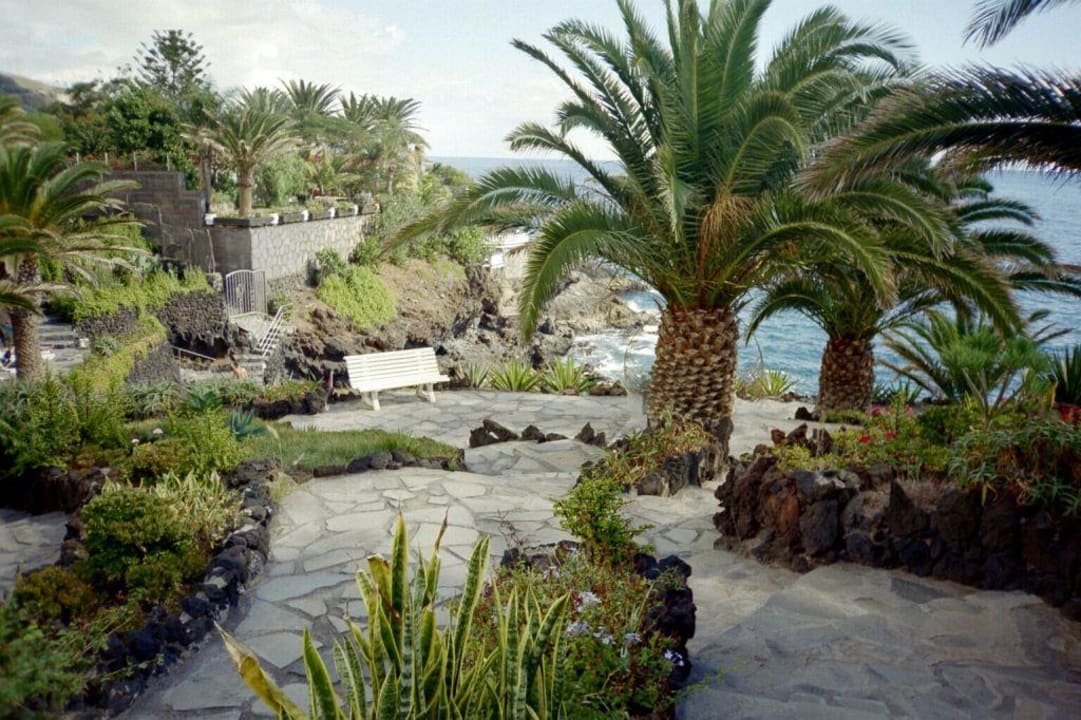 Hotelgarten am Meer Hotel Catalonia Punta del Rey