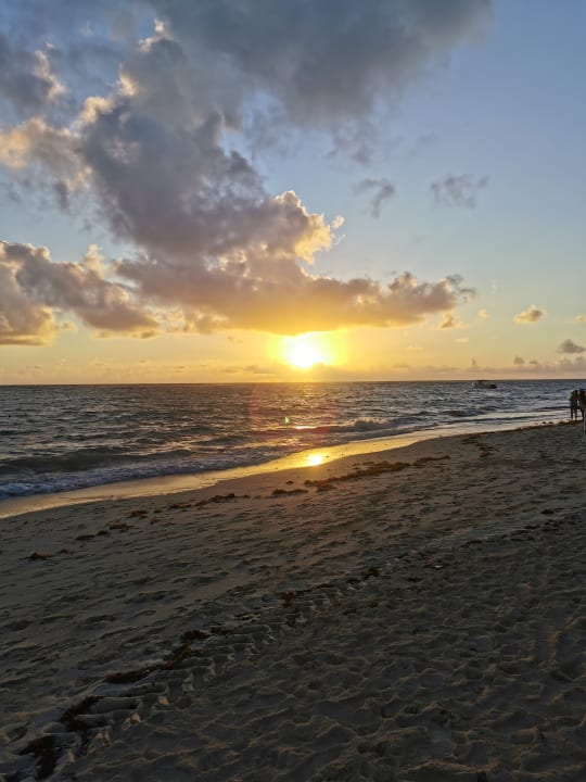 Ausblick Hotel Riu Palace Bavaro