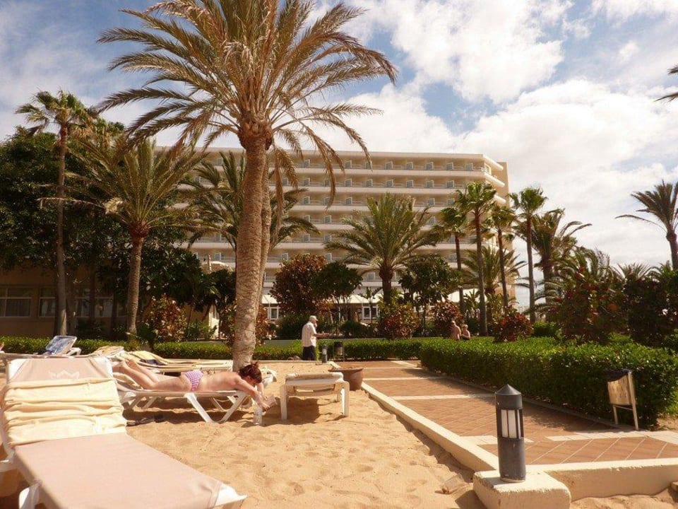 Hotelanlage und Resort Hotel Riu Oliva Beach - Hotel