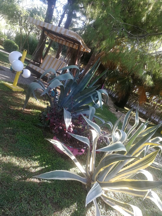 Gartenanlage VONRESORT Golden Beach