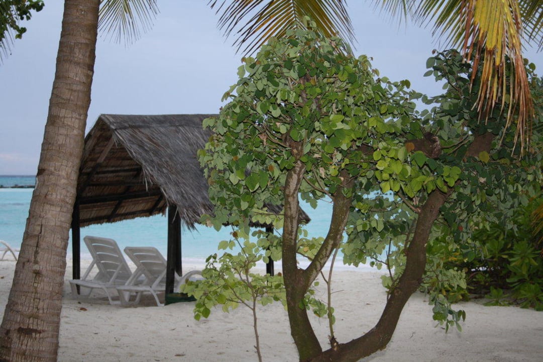 Ausblick vom Zimmer Summer Island Maldives