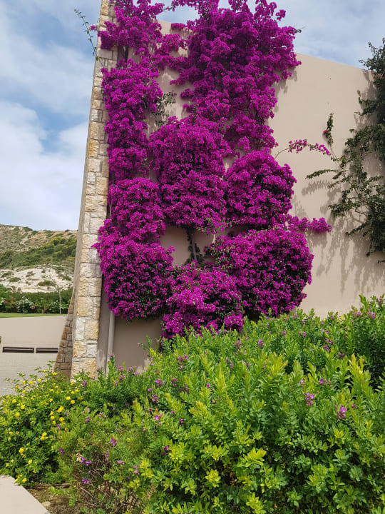 Gartenanlage Blue Lagoon Village