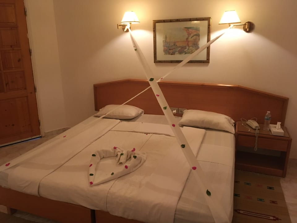 Zimmer Menaville Safaga