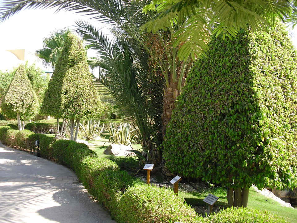 Garten Jaz Makadina