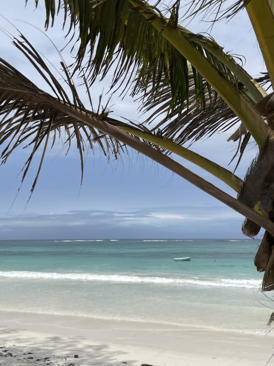 Strand Diani Sea Resort