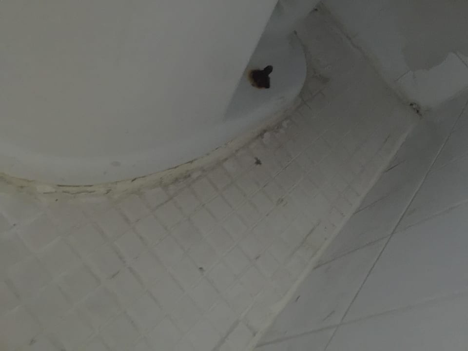 Bad Hotel Greenview South Beach