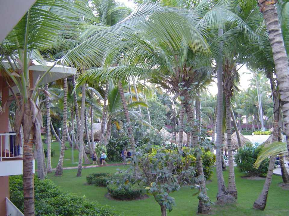 Blick vom Balkon Hotel Grand Palladium Palace Resort, Spa & Casino