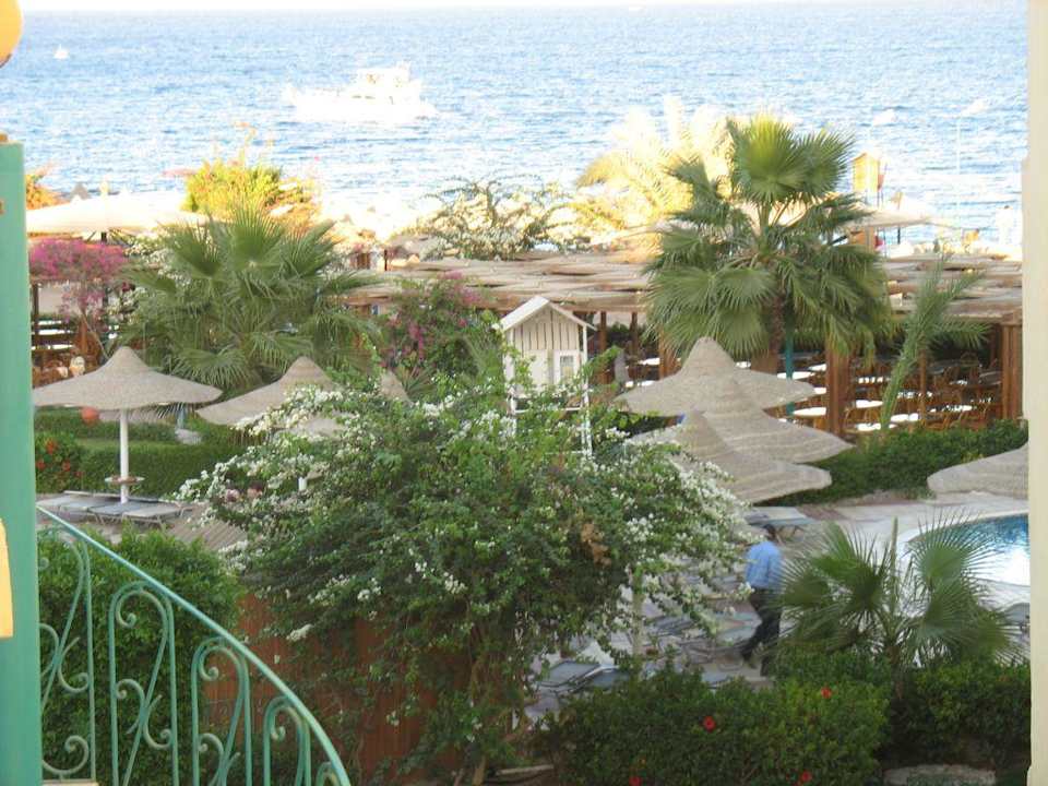 Вид с террасы Moreno Horizon Spa & Resort