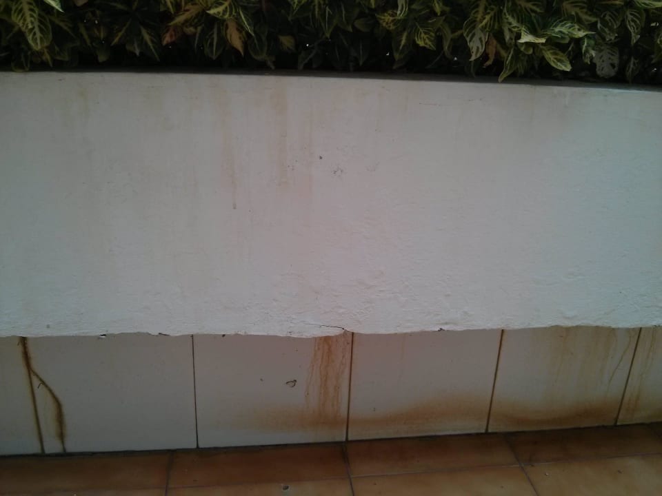 Blumenkübel Terrasse Apartments Ambassador