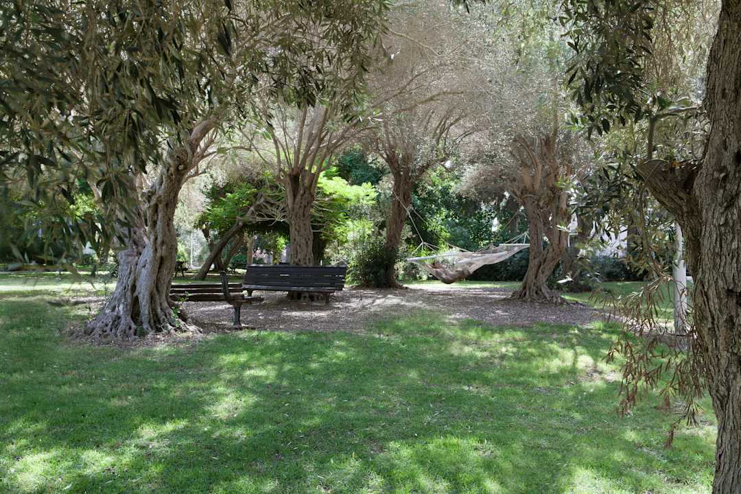 Gartenanlage Tooly Eden Inn
