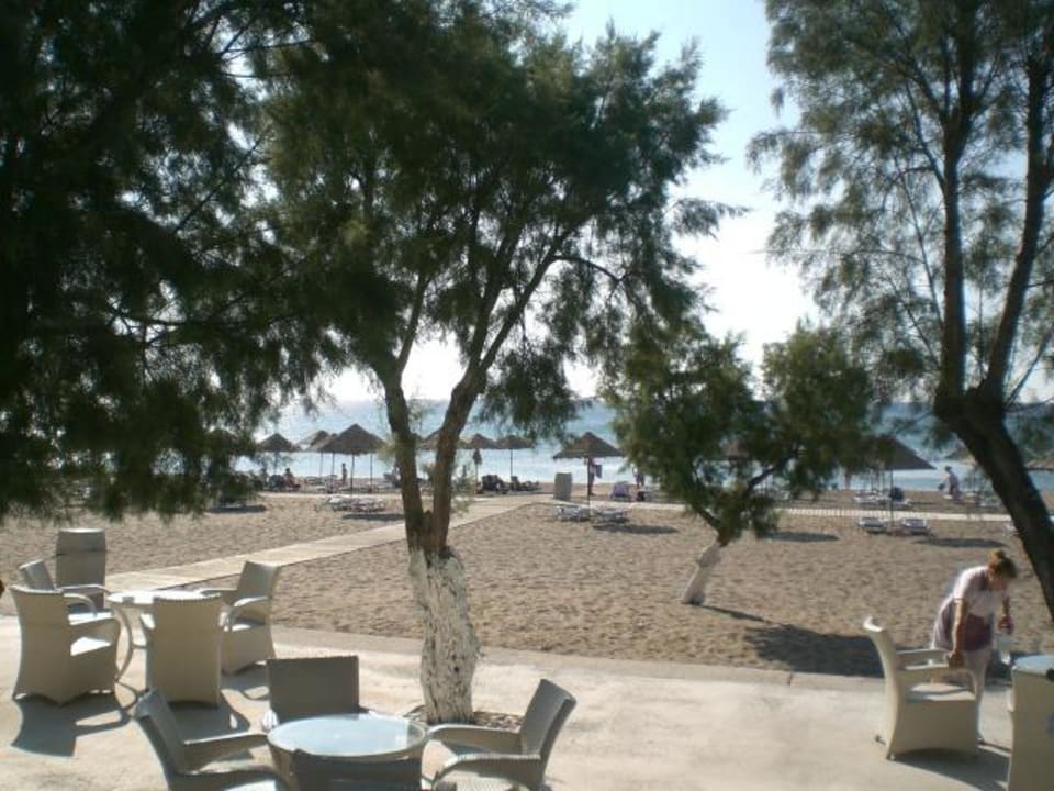 Vue du Bar de la plage Blue Sea Beach Resort