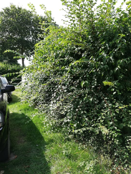 Gartenanlage Roompot Vakantiepark Hof Domburg