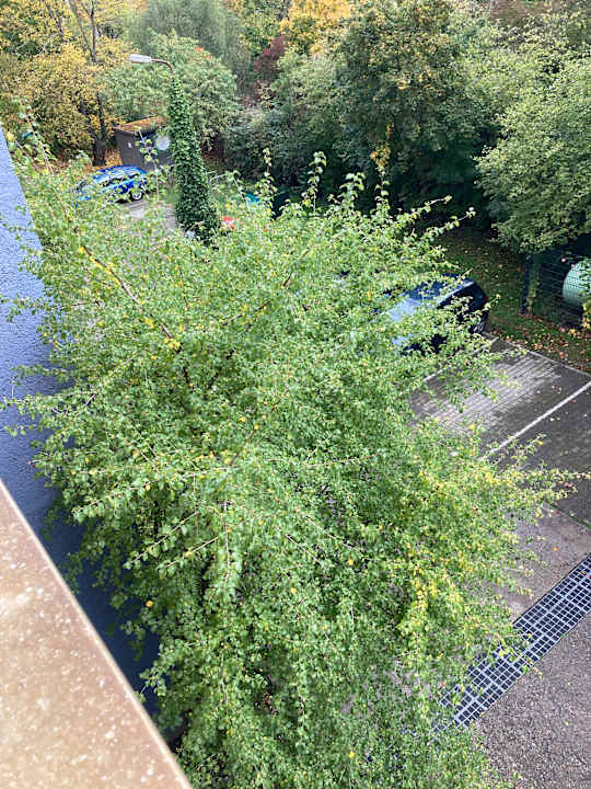 Ausblick Best Western Hotel Windorf