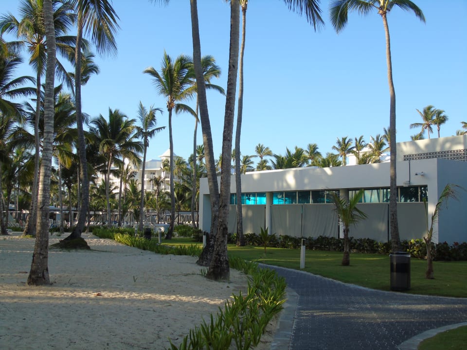 Gartenanlage Hotel Riu Palace Macao - Adults only