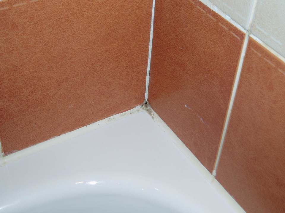 Naja Jaz Grand Marsa