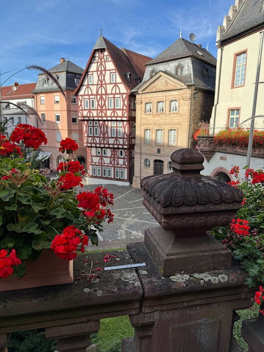 Ausblick Hotel Zum Goldenen Ochsen