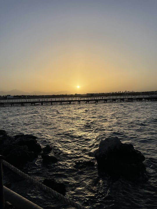 Ausblick Desert Rose