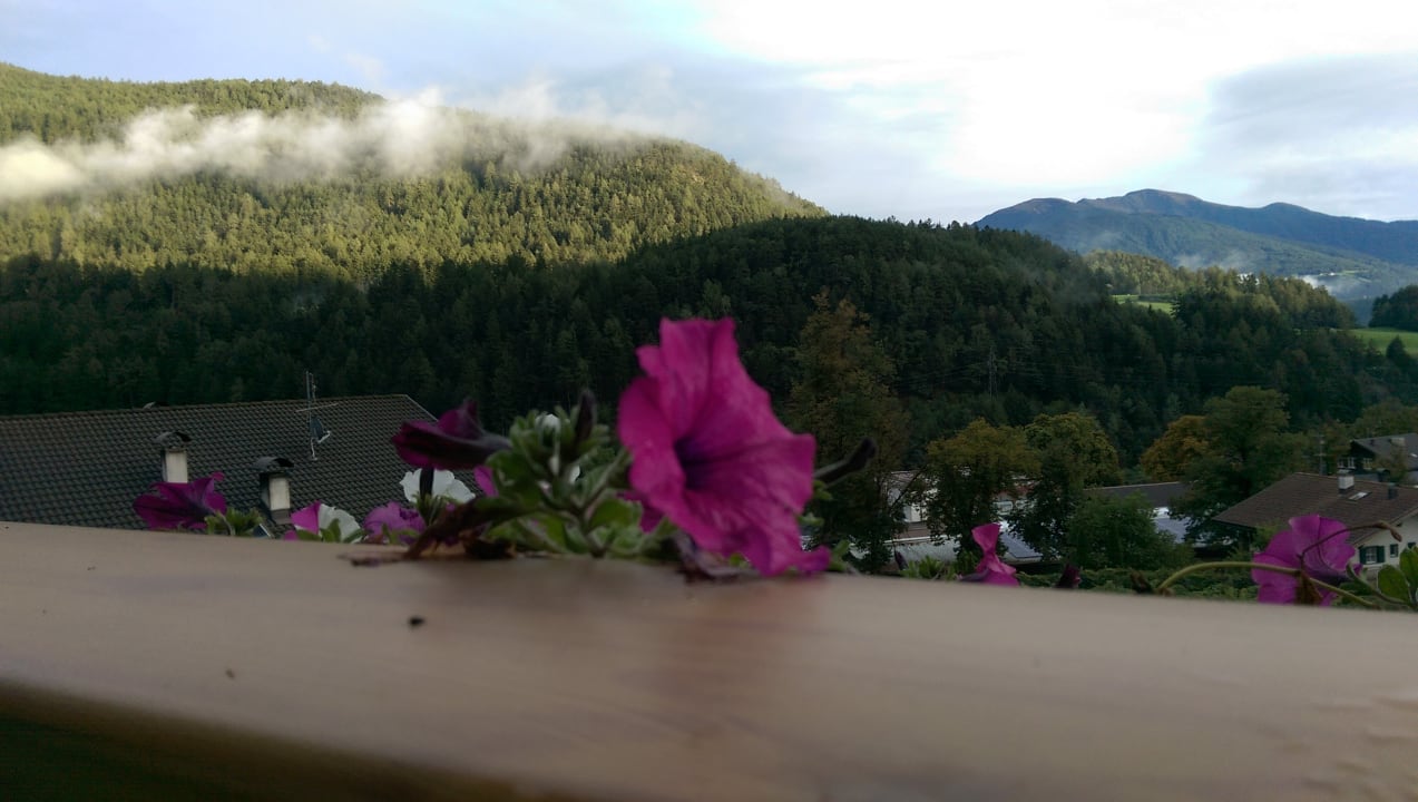 Ausblick Molaris Lodge