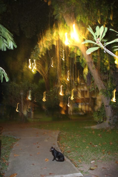 Ночь Natural Park Resort