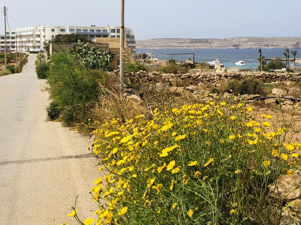 Außenansicht Riviera Spa Resort - Adults Only