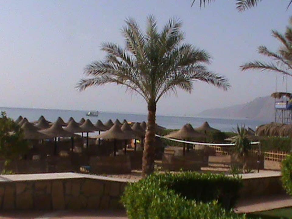 Blick zum Meer JAZ Dahabeya