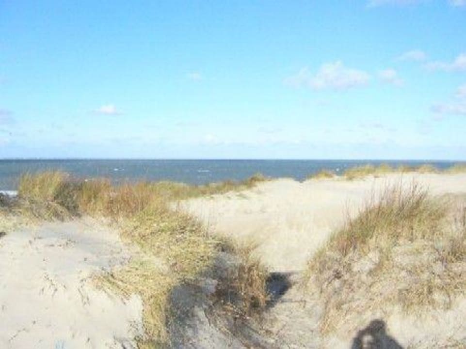 Dünenlandschaft Roompot Noordzee Residence De Banjaard
