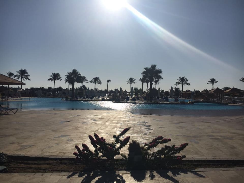 Pool SUNRISE Royal Makadi Resort