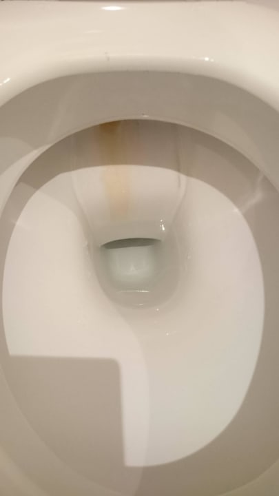 WC Hotel Alt Wittower Krug