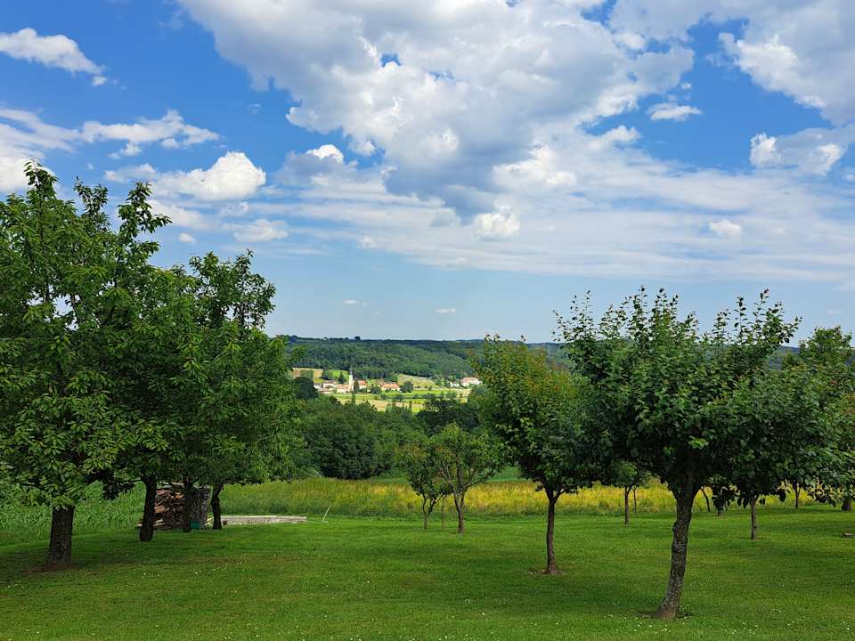 Gartenanlage Apartment - Zimmer Schober