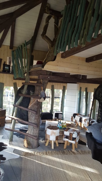 Baumaquarium  Die Geheime Welt von Turisede