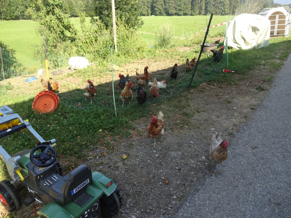 Sonstiges Ferienwohnungen Toffhof