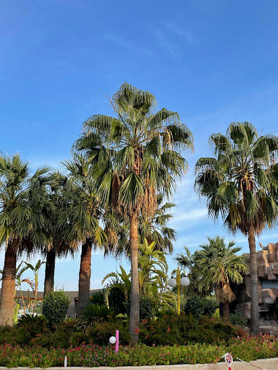 Gartenanlage VONRESORT Golden Beach