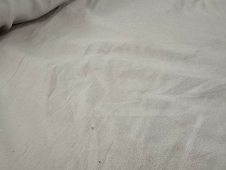 Zimmer White Valley Palace