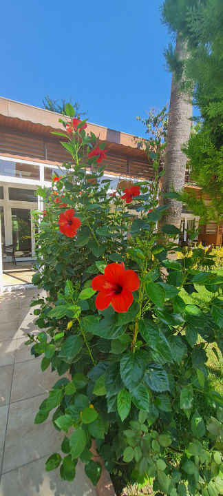 Gartenanlage Adalya Resort & Spa - Adults Only