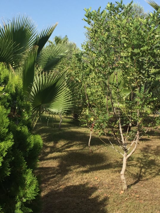 Gartenanlage Seaden Sea World Resort & Spa