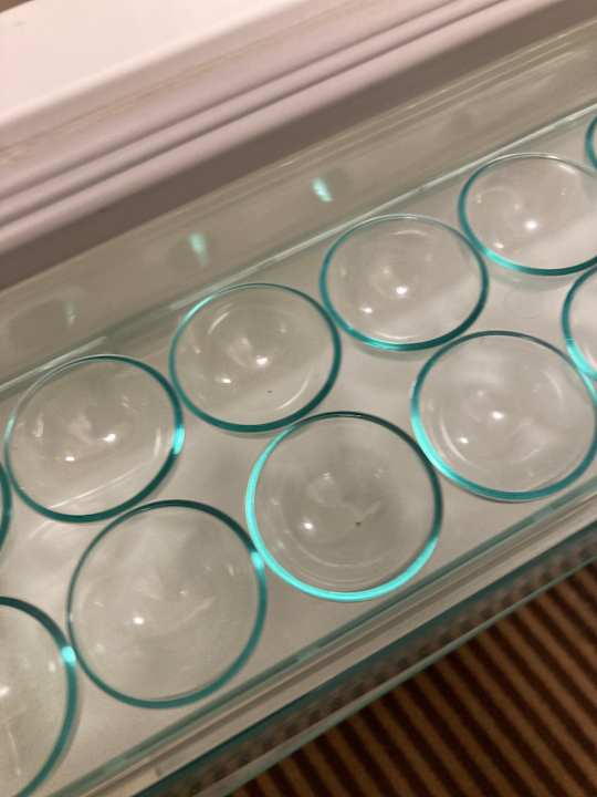 Zimmer Best Western Hotel Nürnberg City West