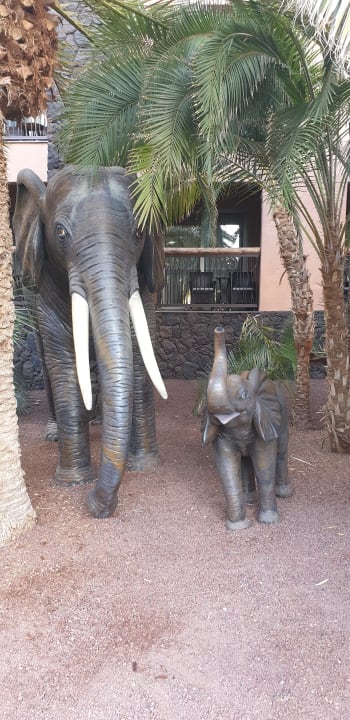 Gartenanlage Lopesan Baobab Resort