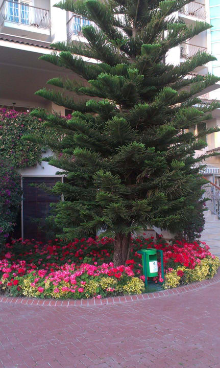 Sehr schön Sunis Elita Beach Resort & Spa