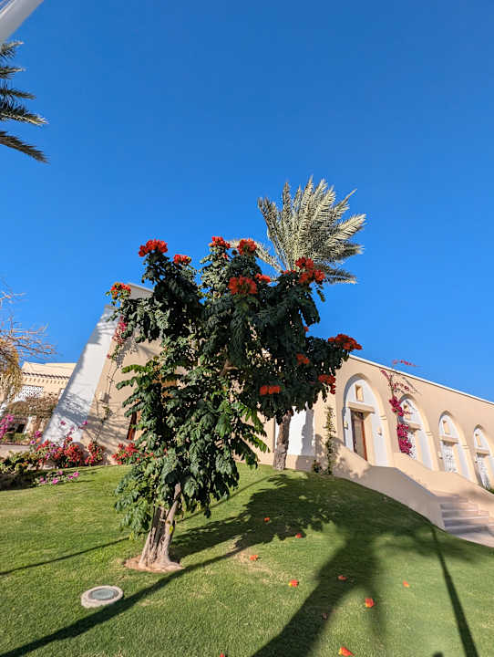 Gartenanlage Jaz Solaya