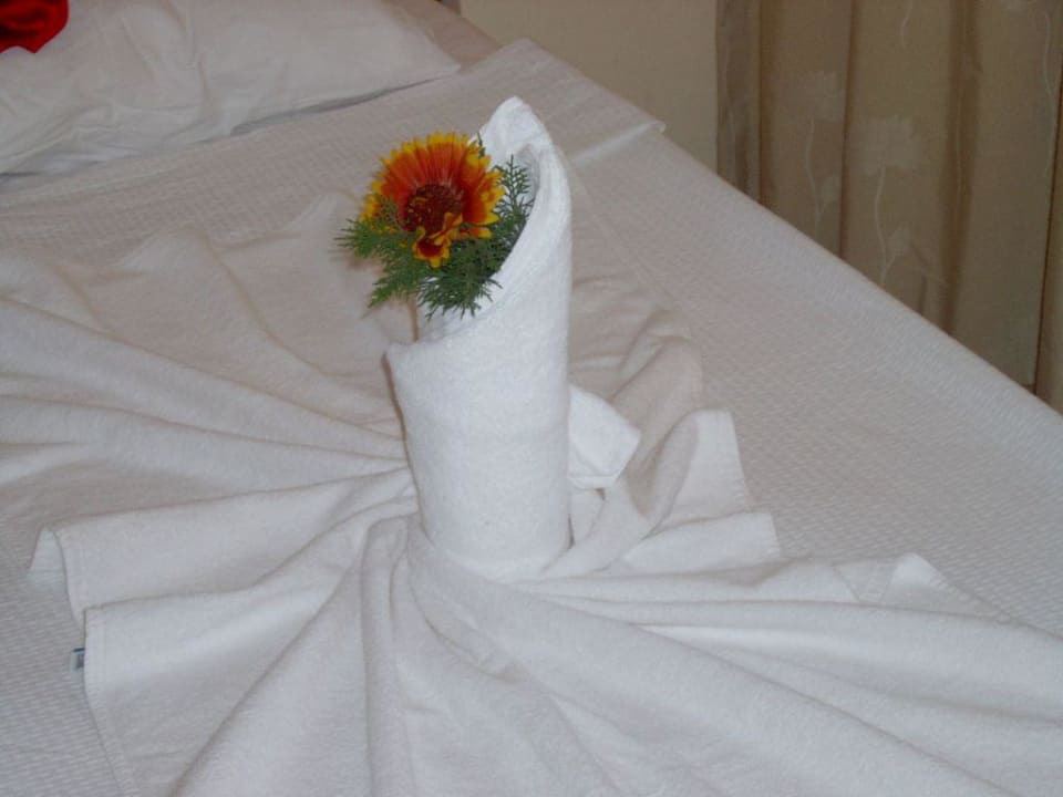 Zimmerreinigung Hotel Club Tess