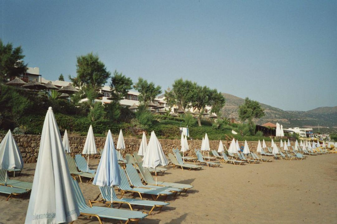 Hotel-Strand  Alexander Beach Hotel & Village Resort