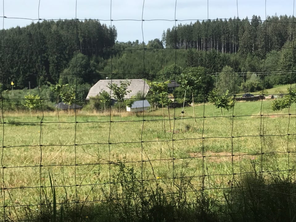 Außenansicht S'Fleckli Bioland Ferienbauernhof