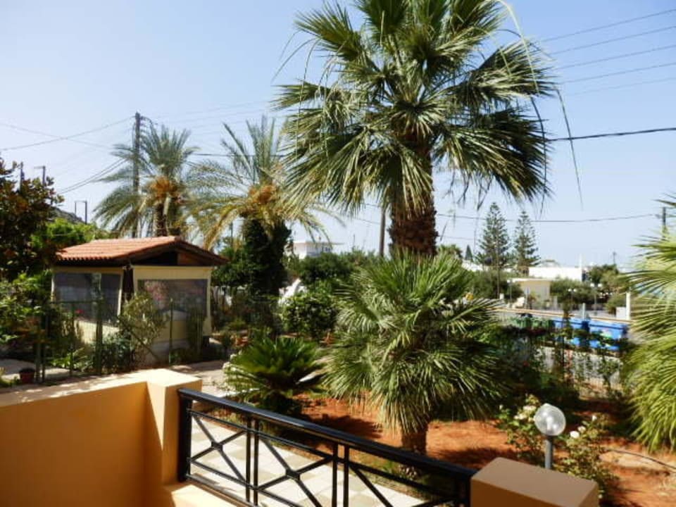 Ausblick z.Meer ca.150m Hotel Paloma Garden