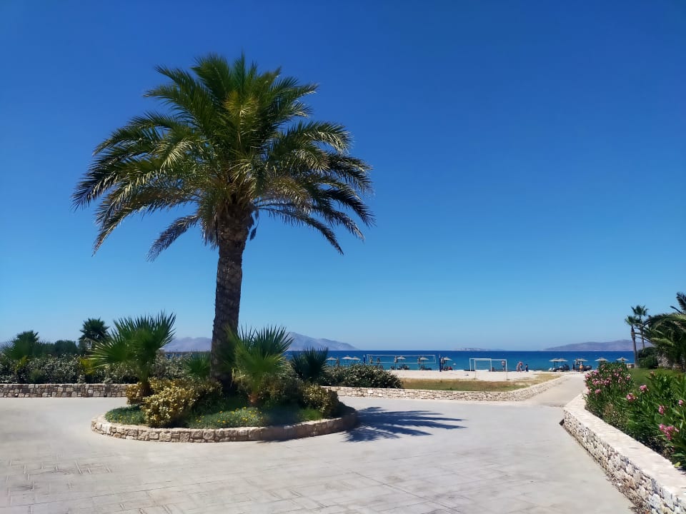 Gartenanlage Hotel Horizon Beach Resort